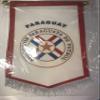 Paraguay Flag (Hanging Type) view 2