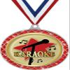Karaoke Red Trellis Medal Silver, 2.5" Karaoke Singing Prizes, Kids Singing Trophy Medal Awards 50 Pack Prime view 1
