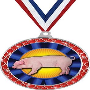 Blue Hog Red Trellis Medal Silver, 2.5" Hog Rosette Prizes, Kids Animal Trophy Medal Awards 100 Pack Prime