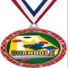 Cornhole Red Trellis Medal Silver, 2.5" Cornhole Prizes, Kids Cornhole Trophy Medal Awards 50 Pack view 1