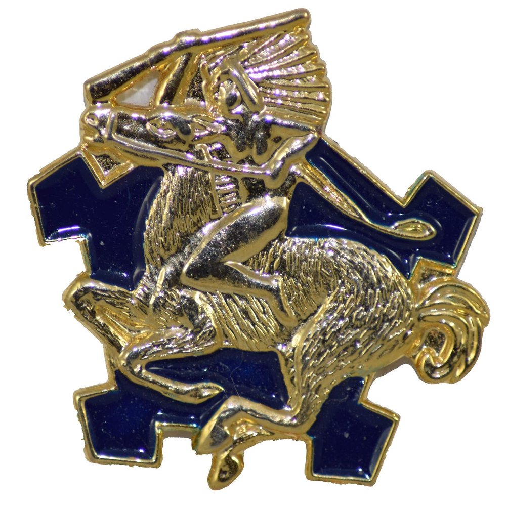 9TH CAV RGT LAPEL PIN OR HAT PIN - Size 1" - VETERAN OWNED BUSINESS
