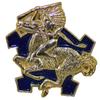 9TH CAV RGT LAPEL PIN OR HAT PIN - Size 1" - VETERAN OWNED BUSINESS view 1