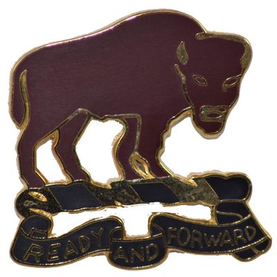 10TH CAV RGT LAPEL PIN OR HAT PIN - Size 1" - VETERAN OWNED BUSINESS