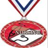 Nursing Red Trellis Medal Silver, 2.5" Nurse Prizes, Nurses Trophy Medal Awards 100 Pack Prime view 1