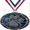 Paw Print Black Trellis Medal Silver, 2.5" Mascot Paw Print Prizes, Kids School Pride Trophy Medal Awards 10 Pack Prime view 1