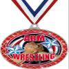 Arm Wrestling Red Trellis Medal Silver, 2.5" Wrestling Prizes, Kids Arm Wrestler Trophy Medal Awards 100 Pack Prime view 1