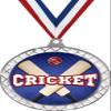 Cricket White Trellis Medal Silver, 2.5" Cricket Prizes, Kids Cricket Trophy Medal Awards 50 Pack Prime view 1