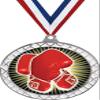 Boxing White Trellis Medal Silver, 2.5" Boxing Glove Prizes, Kids Boxing Trophy Medal Awards 50 Pack Prime view 1