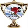 Alpine Ski Racing Trophy Cup Medal Gold, 3" Downhill Skiing Prizes, Kids Alpine Skiing Trophy Medal Awards 100 Pack view 2