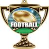 Football Trophy Cup Medal Gold, 3" Football Team Prizes, Kids Football Championship Trophy Medal Awards 100 Pack view 2