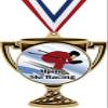 Alpine Ski Racing Trophy Cup Medal Gold, 3" Downhill Skiing Prizes, Kids Alpine Skiing Trophy Medal Awards 50 Pack Prime view 1