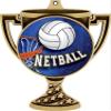 Netball Trophy Cup Medal Gold, 3" Netball Prizes, Kids Netball Trophy Medal Awards 50 Pack Prime view 2
