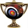Archery Trophy Cup Medal Gold, 3" Archery Board Prizes, Kids Archery Target Trophy Medal Awards 10 Pack Prime view 2