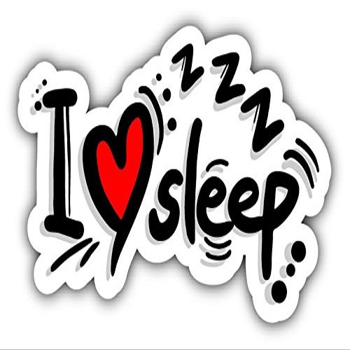 Zirni I Love Sleep Slogan Sticker Decal Design