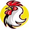 Zirni Cartoon Angry Chicken Cock Mascot Sticker Decal Design