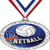 Netball White Trellis Medal Silver, 2.5" Netball Prizes, Kids Netball Trophy Medal Awards 100 Pack Prime view 1