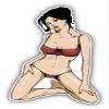 Pin Up Girl On Knees Sexy Cartoon Sticker Decal Design