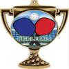 Pickleball Trophy Cup Medal Gold, 3" Pickleball Prizes, Kids Pickleball Trophy Medal Awards 100 Pack Prime view 2