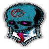 Zirni Occult Skull Sticker Decal Design view 1