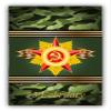 Zirni Soviet Union Star Military Sticker Decal Design