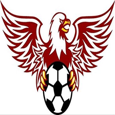 Zirni Eagle with Ball Soccer Sport Sticker Decal Design