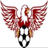Zirni Eagle with Ball Soccer Sport Sticker Decal Design