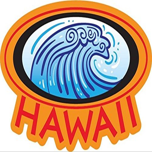 Zirni Hawaii Beach Wave USA Vacation Summer Relax Sticker Decal Design