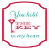 Zirni You Hold The Key to My Heart Badge Sticker Decal Design view 1