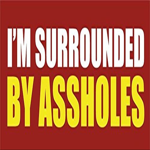 Zirni I'm Surrounded by Assholes Slogan Sticker Decal Design
