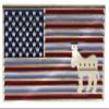 Democrat USA Flag With Donkey Hat or Lapel Pin PMS1771 F2D33N view 1