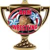 Arm Wrestling Trophy Cup Medal Gold, 3" Wrestling Prizes, Kids Arm Wrestler Trophy Medal Awards 50 Pack Prime view 2