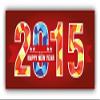 Zirni 2015 Happy New Year Triangulated Sticker Decal Design view 1