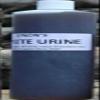Coyote Urine by Lenon Animal Lures (16 oz Bottle) view 1