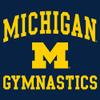AH1099 - Michigan Wolverines Arch Logo Gymnastics Hoodie - 3X-Large - Navy view 2