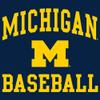 AH1095 - Michigan Wolverines Arch Logo Baseball Hoodie - Large - Navy view 2