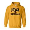 AH1095 - Iowa Hawkeyes Arch Logo Baseball Hoodie - Large - Gold view 1