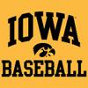 AH1095 - Iowa Hawkeyes Arch Logo Baseball Hoodie - Large - Gold view 2