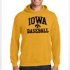 AH1095 - Iowa Hawkeyes Arch Logo Baseball Hoodie - Large - Gold view 4
