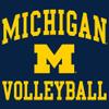 AH1116 - Michigan Wolverines Arch Logo Volleyball Hoodie - 3X-Large - Navy view 2