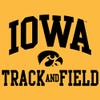 UGP Campus Apparel AH1115 - Iowa Hawkeyes Arch Logo Track & Field HOODIE - X-Large - Gold view 2