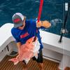 BUBBA Portable Gaff with Stainless Steel Offset Hook, Non-Slip Grip Handle and Carbon Fiber Shaft for Fishing, Boating and Outdoors view 2