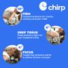 Chirp Wheel Foam Roller  Targeted Back & Neck Relief, Lumbar Spine Stretcher, Spinal Decompression Back Stretcher, Massage Roller with Density Foam for Physical Therapy, Supports 500lbs, 3-Pack Mint view 4