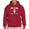 AH1112 - Indiana Hoosiers Arch Logo Field Hockey Hoodie - 3X-Large - Cardinal view 4