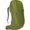 Lowe Alpine AirZone Trek Backpack for Day or Short Hikes, AirZone Trek 35:45 Liter, Fern view 1
