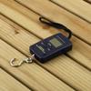 40Kg Digital Hanging Luggage Fishing Weight Scale Portable Kitchen Scales view 1