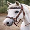 English Western Horse Leather Bitless Bridle Sidepull Halter Reins 77RS14MG-F view 2