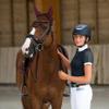 HORZE Clermont Ergonomic Padded Genuine Leather Snaffle Bridle for Horses | Flash Noseband Included - Dark Brown - Horse view 3