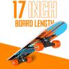 RUDEBOYS 17 Inch Mini Wooden Cruiser Graphic Beginner Skateboard (Robot Design) view 3