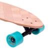 Z-Flex Skateboard - Banana Train Roundtail view 3
