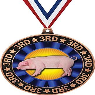 Blue Hog 3rd Place Perimeter Medal Bronze, 2.75" Hog Rosette Prizes, Kids Animal Trophy Medal Awards 10 Pack Prime
